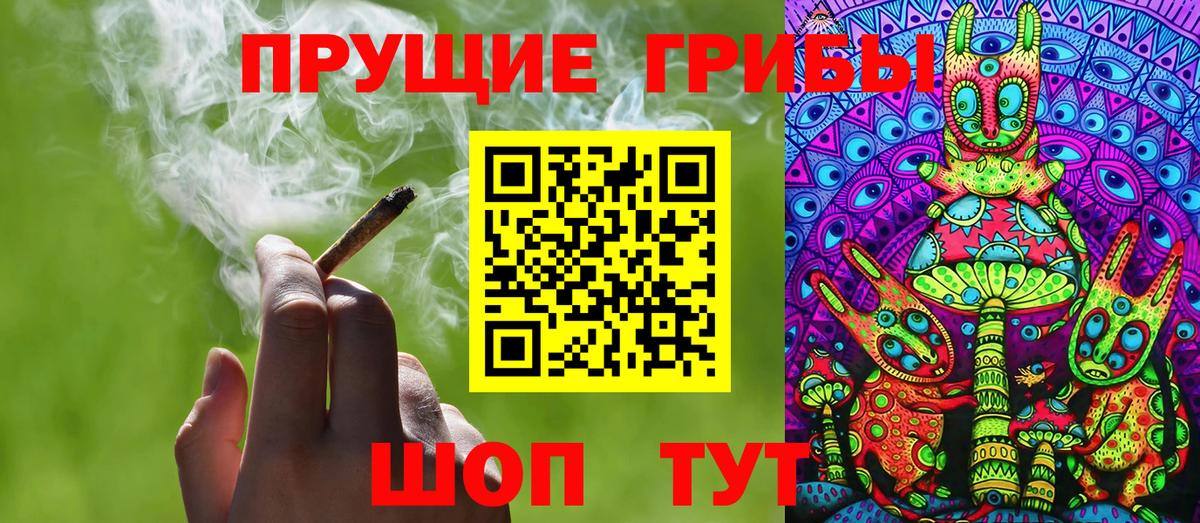 Малгобек  Псилоцибиновые грибы MAGIC MUSHROOMS  Псилоцибиновые грибы ЛСД  Вход с VPN 